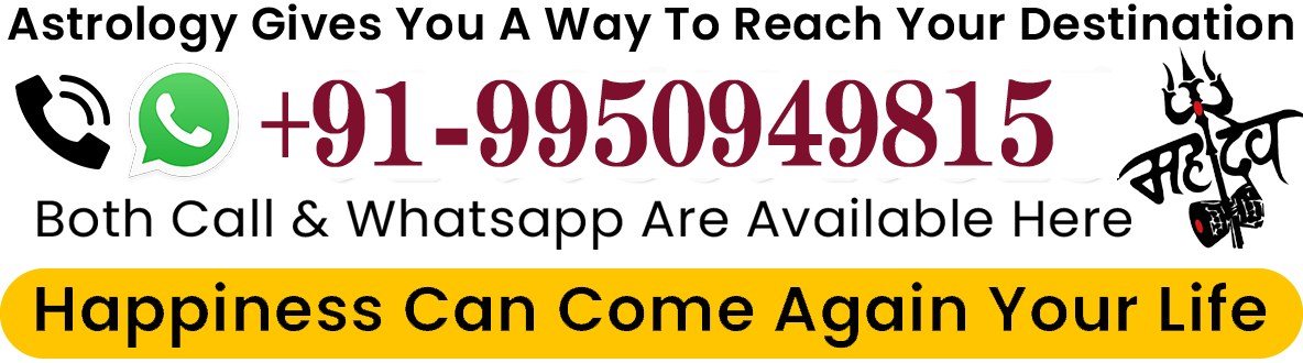 Aman Acharya Call Now +91-9950949815